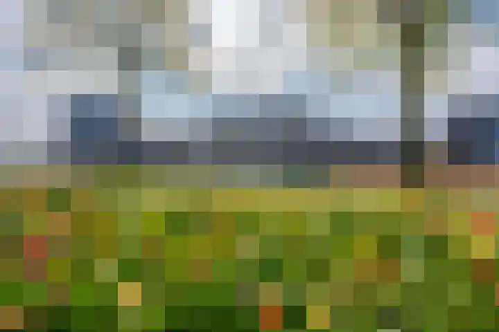 Duitslandstraat 134 Almere thumbnail 38