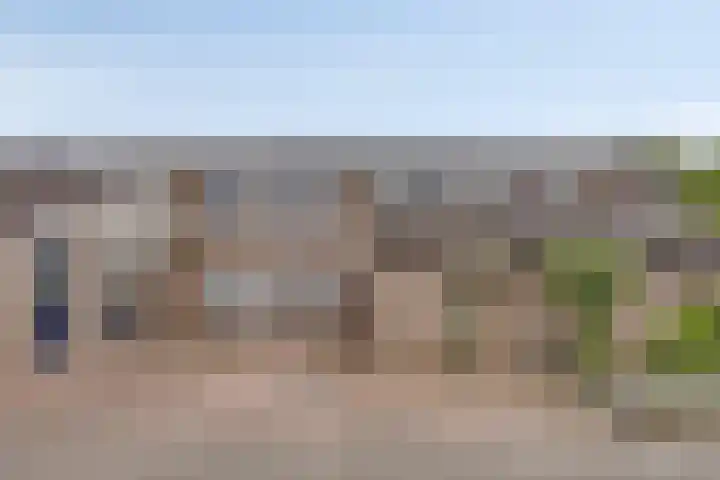 Duivekervel 24 Oldenzaal thumbnail 19