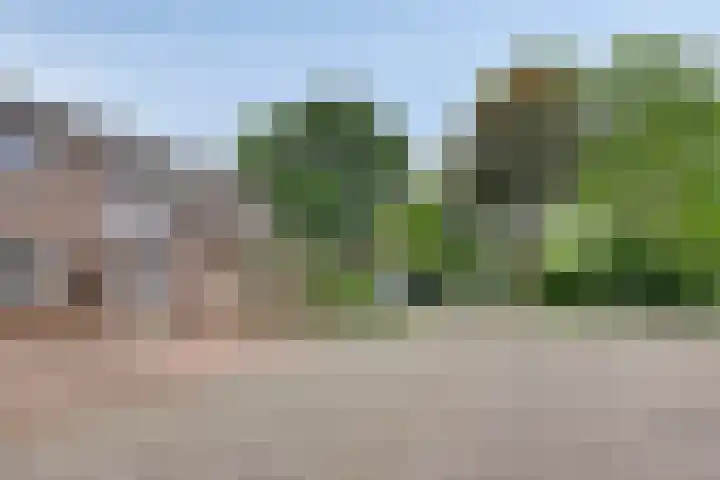 Duivekervel 24 Oldenzaal thumbnail 21