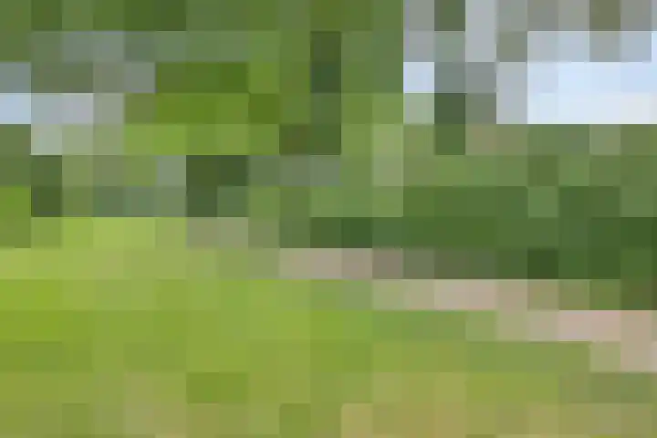Duivekervel 24 Oldenzaal thumbnail 22