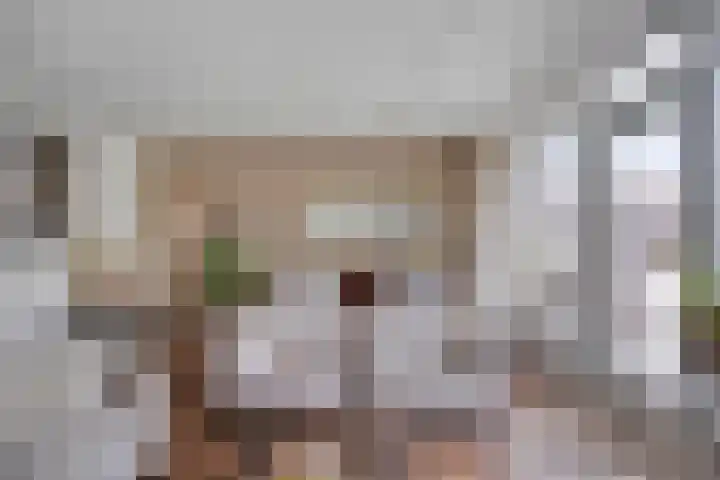 Duivekervel 24 Oldenzaal thumbnail 4