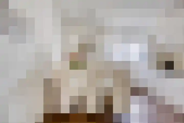 Duivekervel 24 Oldenzaal thumbnail 6