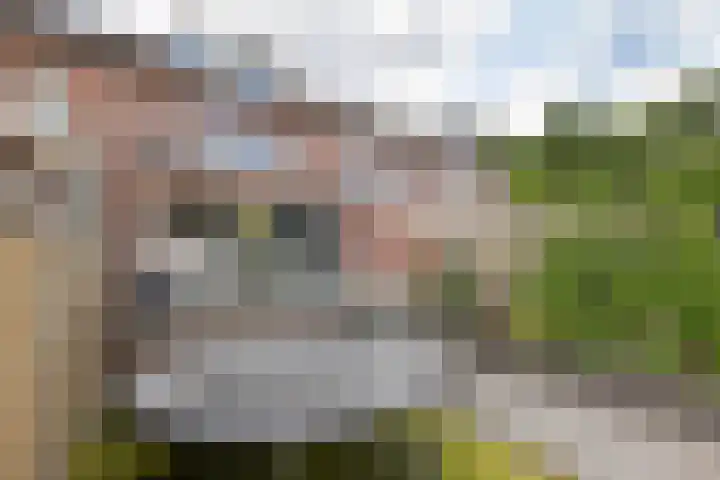 Duivekervel 27 Oldenzaal thumbnail 16