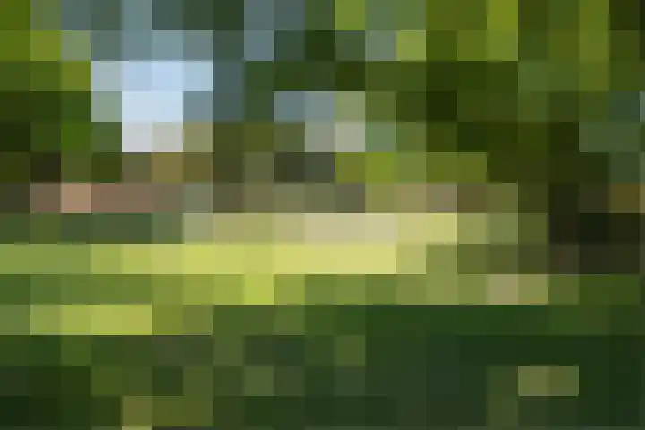 Duivekervel 33 Oldenzaal thumbnail 31