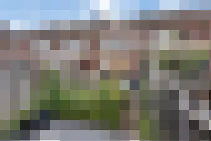 Duivekervel 71 Oldenzaal thumbnail 18