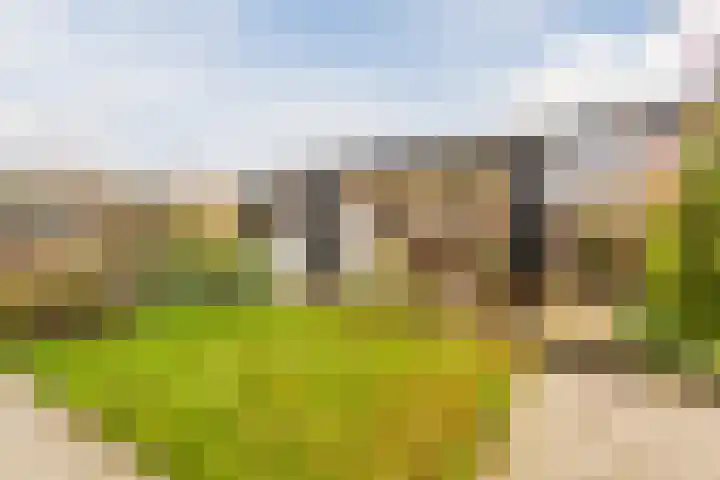 Duiveland 27 Emmeloord thumbnail 34