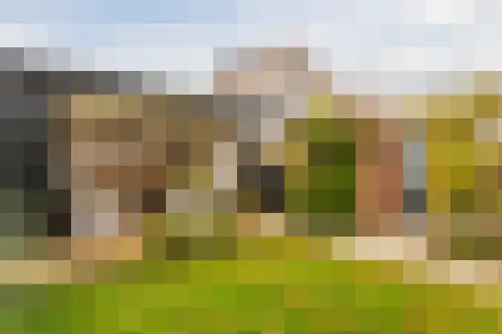 Duiveland 27 Emmeloord thumbnail 35