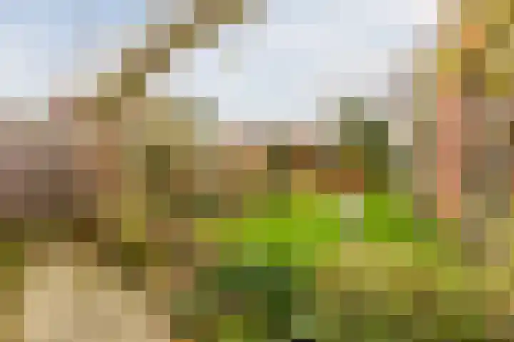 Duiveland 27 Emmeloord thumbnail 41