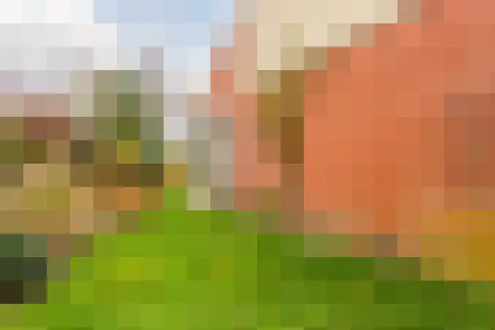 Duiveland 27 Emmeloord thumbnail 42