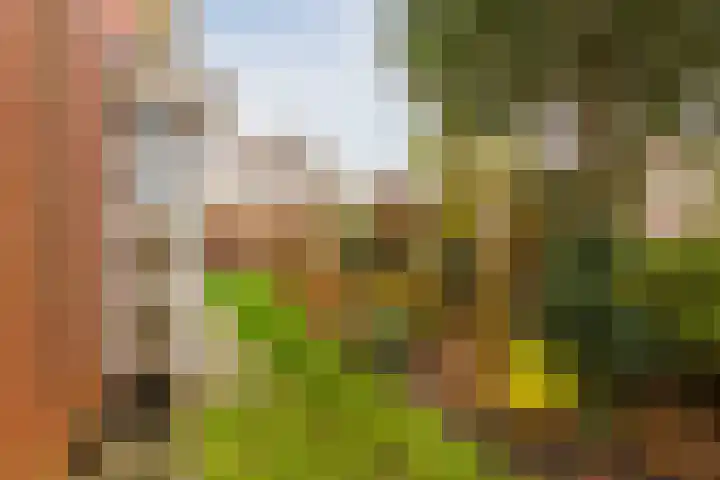 Duiveland 27 Emmeloord thumbnail 43