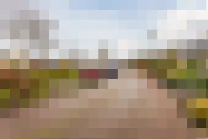Duiveland 27 Emmeloord thumbnail 44