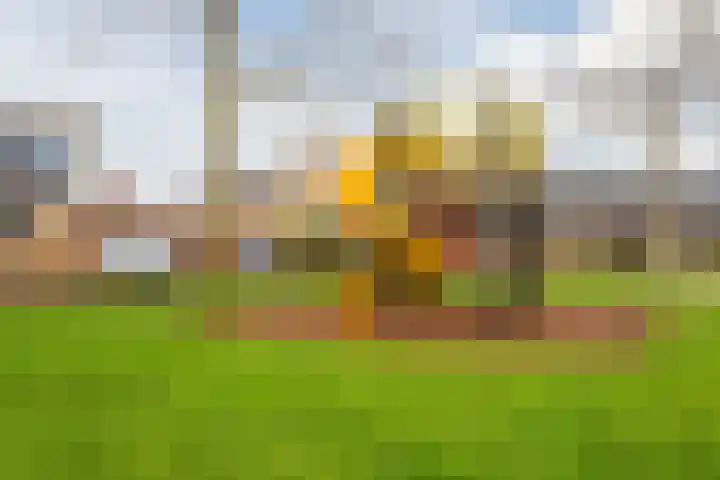 Duiveland 27 Emmeloord thumbnail 45