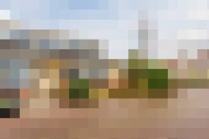 Duiveland 27 Emmeloord thumbnail 6
