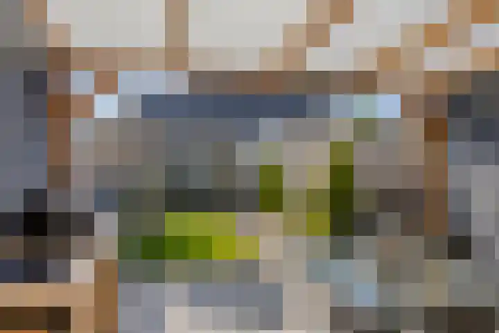 Duiveland 32 Emmeloord thumbnail 36