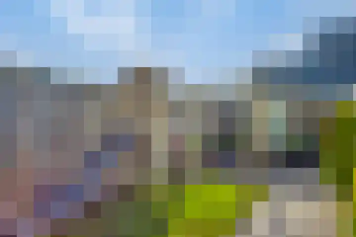 Duiveland 32 Emmeloord thumbnail 38