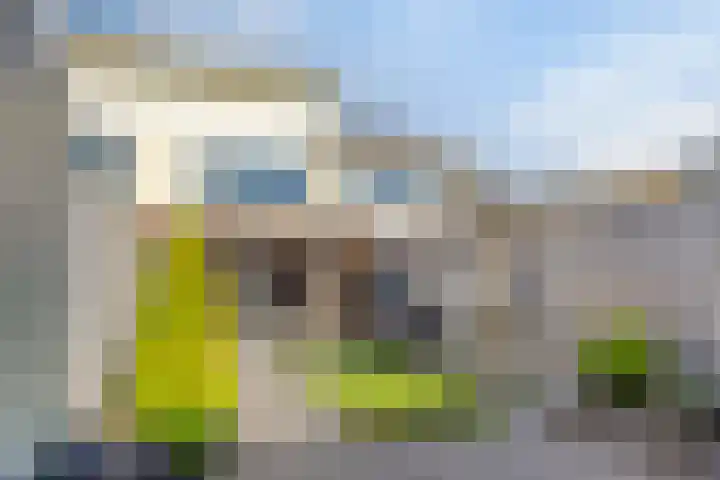 Duiveland 32 Emmeloord thumbnail 40