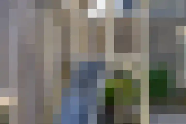 Duiveland 32 Emmeloord thumbnail 42