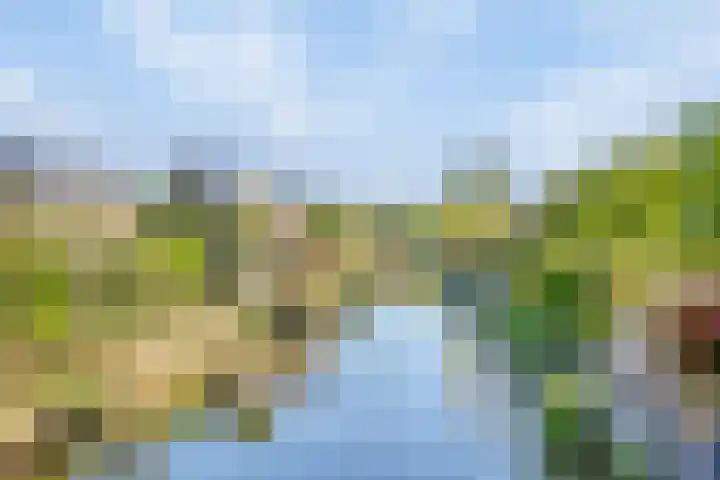 Duiveland 32 Emmeloord thumbnail 44