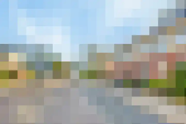 Duiveland 32 Emmeloord thumbnail 46