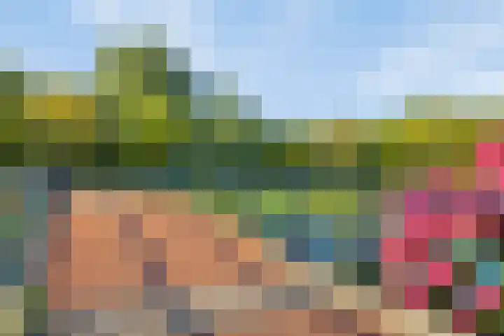 Duiveland 32 Emmeloord thumbnail 47