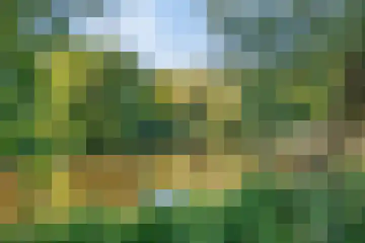 Duiveland 32 Emmeloord thumbnail 48