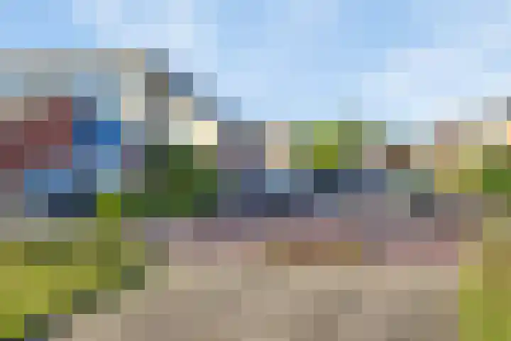 Duiveland 32 Emmeloord thumbnail 49