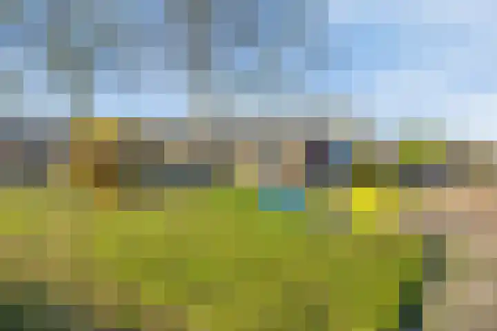 Duiveland 32 Emmeloord thumbnail 51