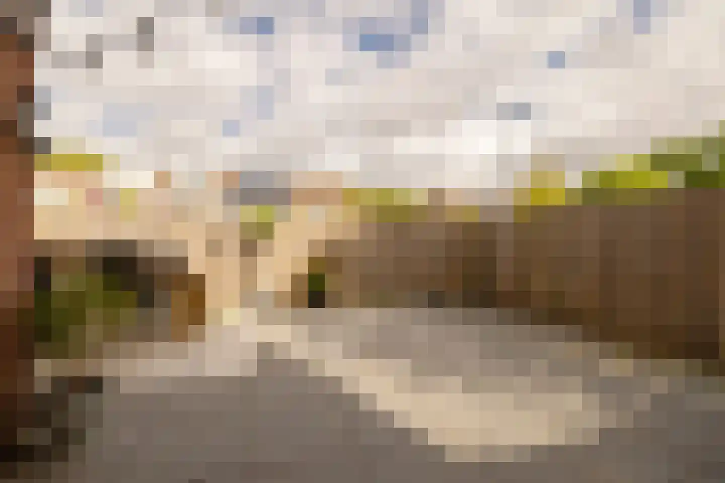 Duiveland 34 Haarlem thumbnail 16