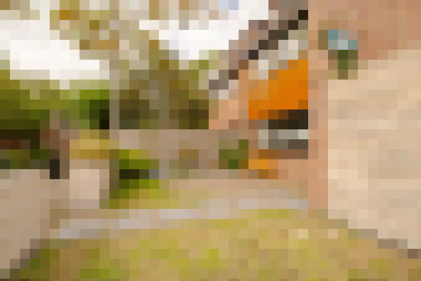 Duiveland 34 Haarlem thumbnail 34