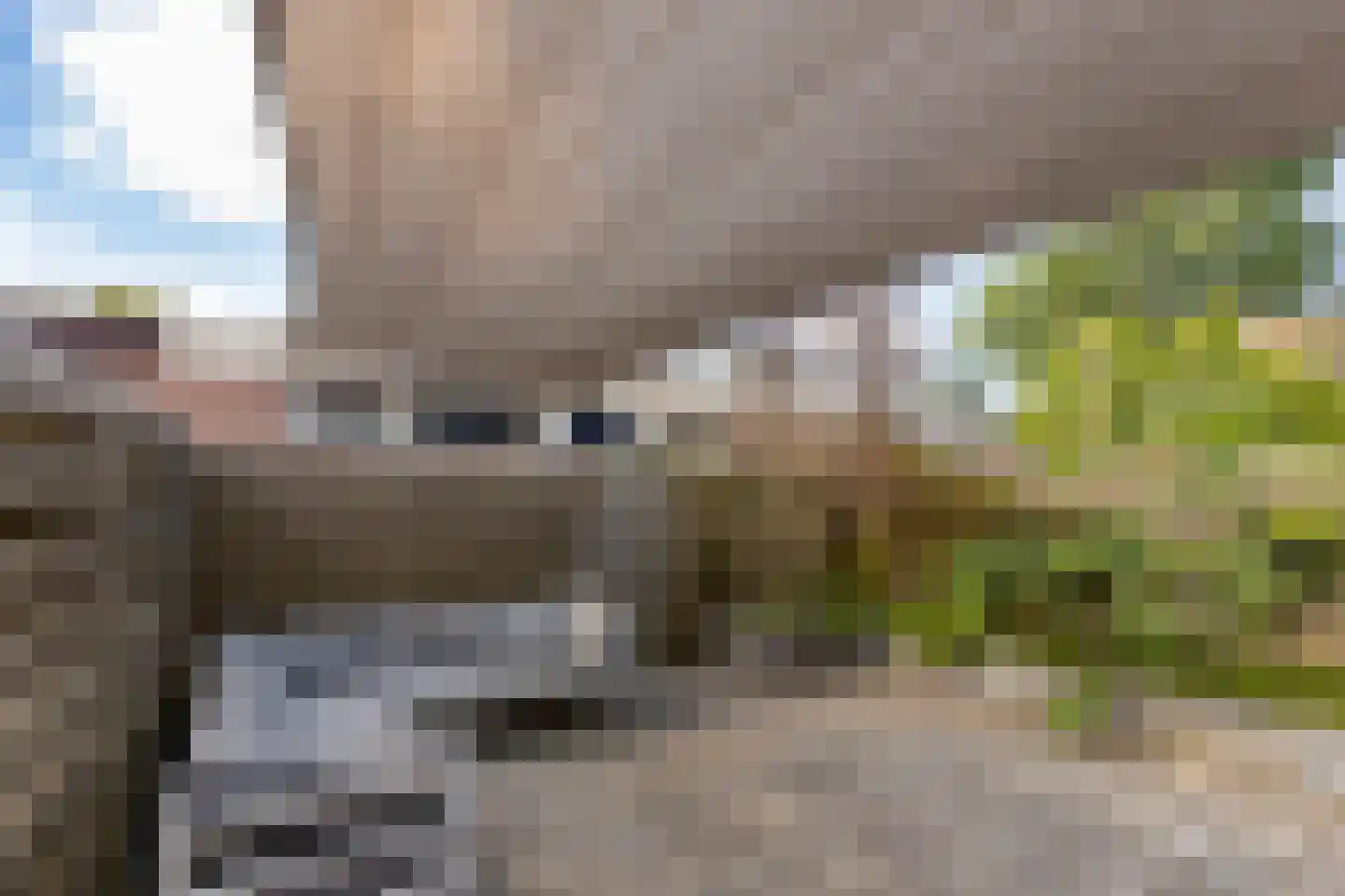 Duiveland 38 Haarlem thumbnail 28