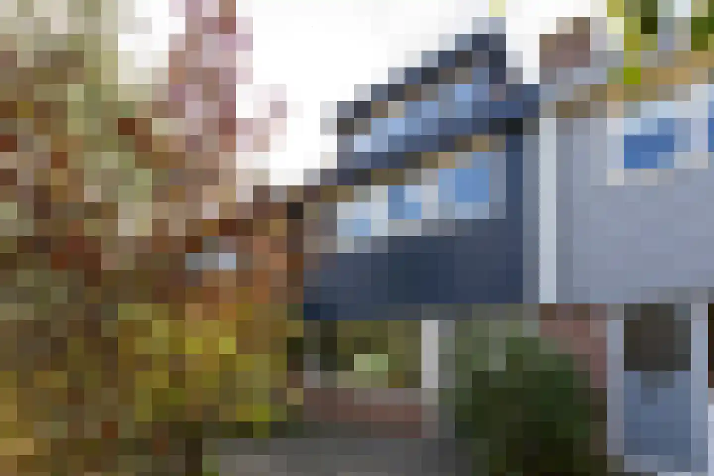 Duiveland 38 Haarlem thumbnail 32
