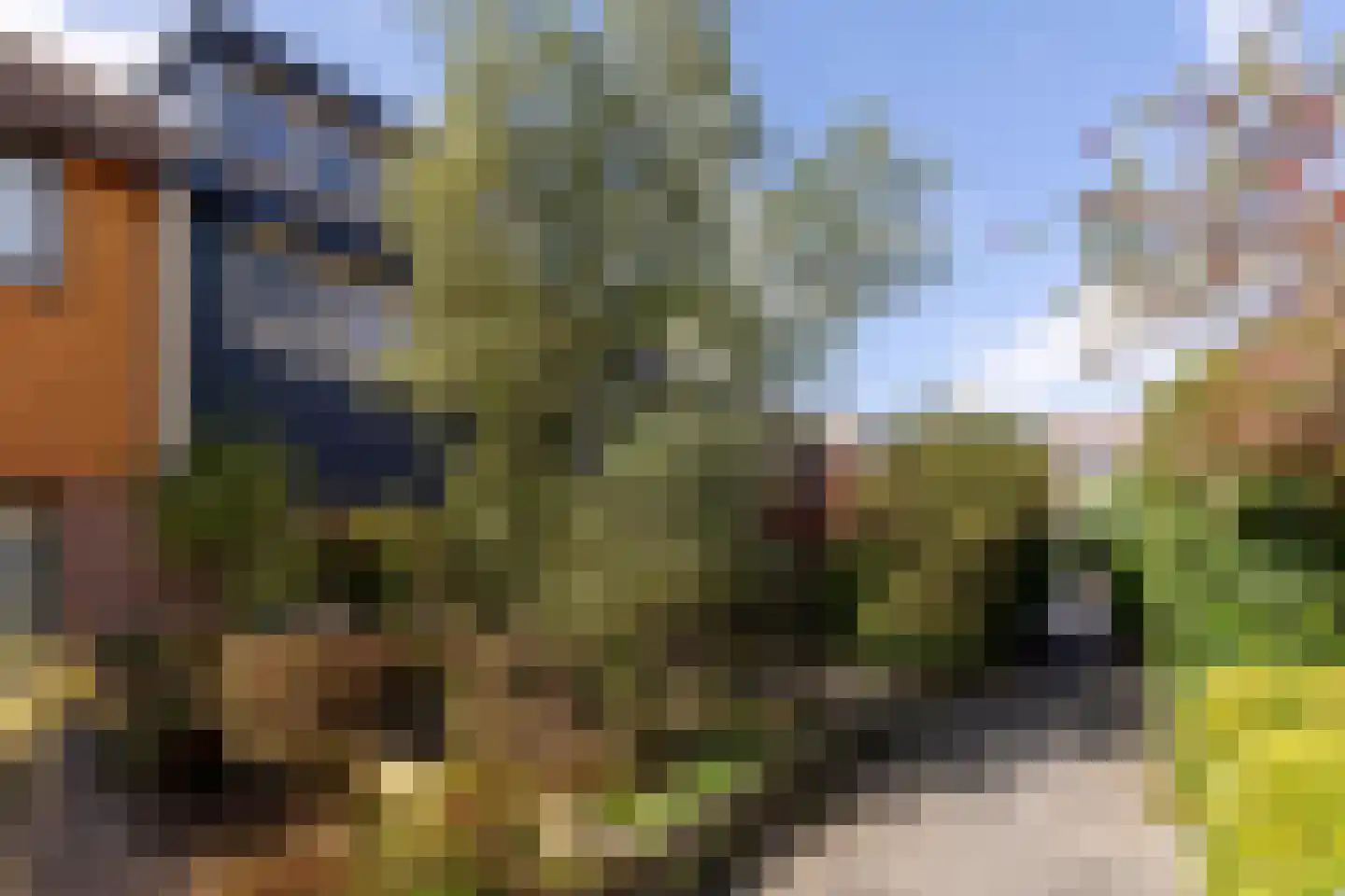 Duiveland 38 Haarlem thumbnail 33