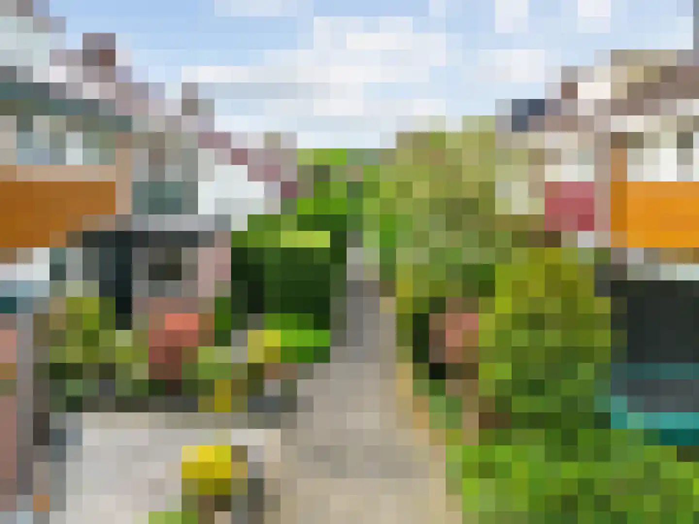 Duiveland 52 Haarlem thumbnail 8