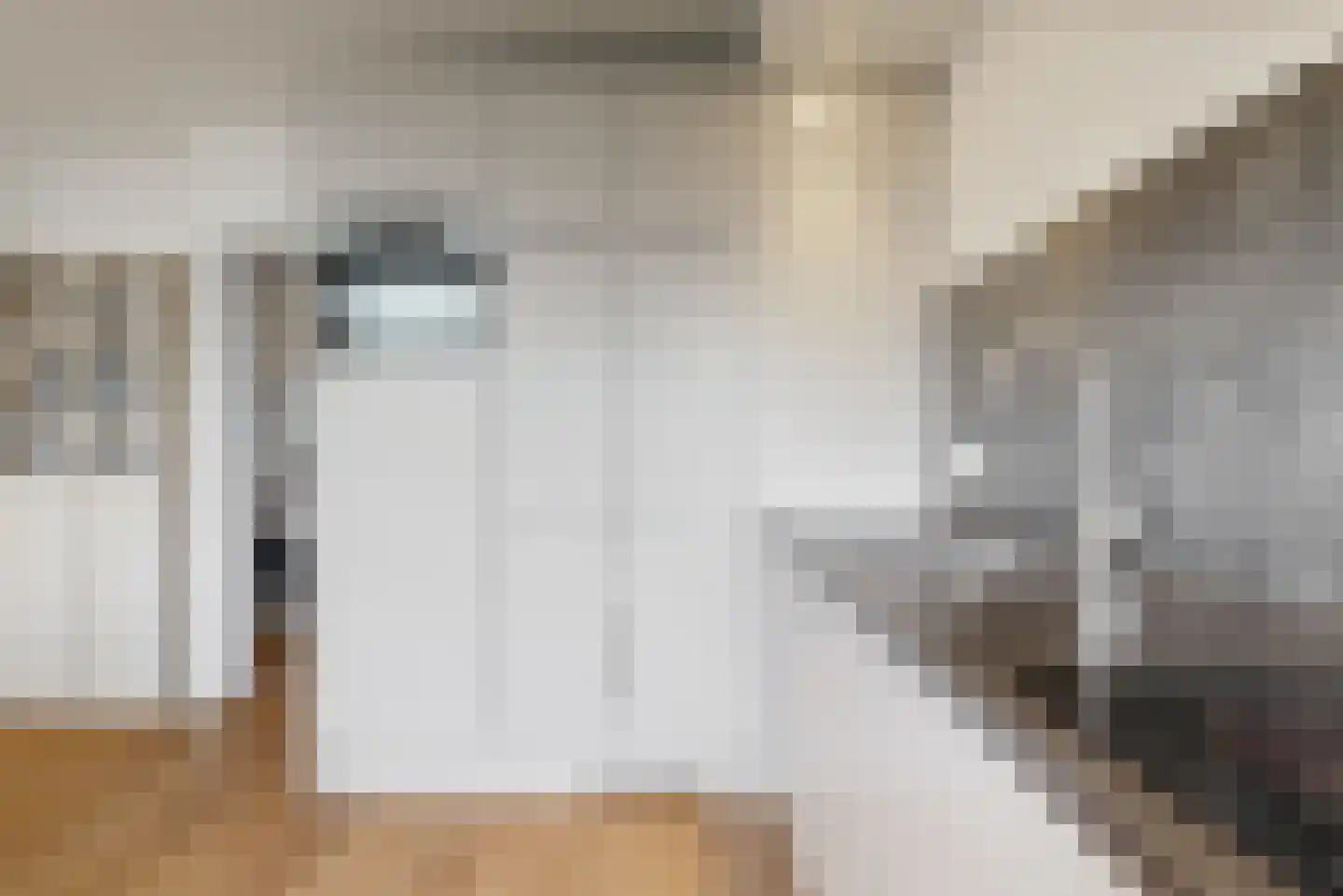 Duivelandselaan 121 Amstelveen thumbnail 15