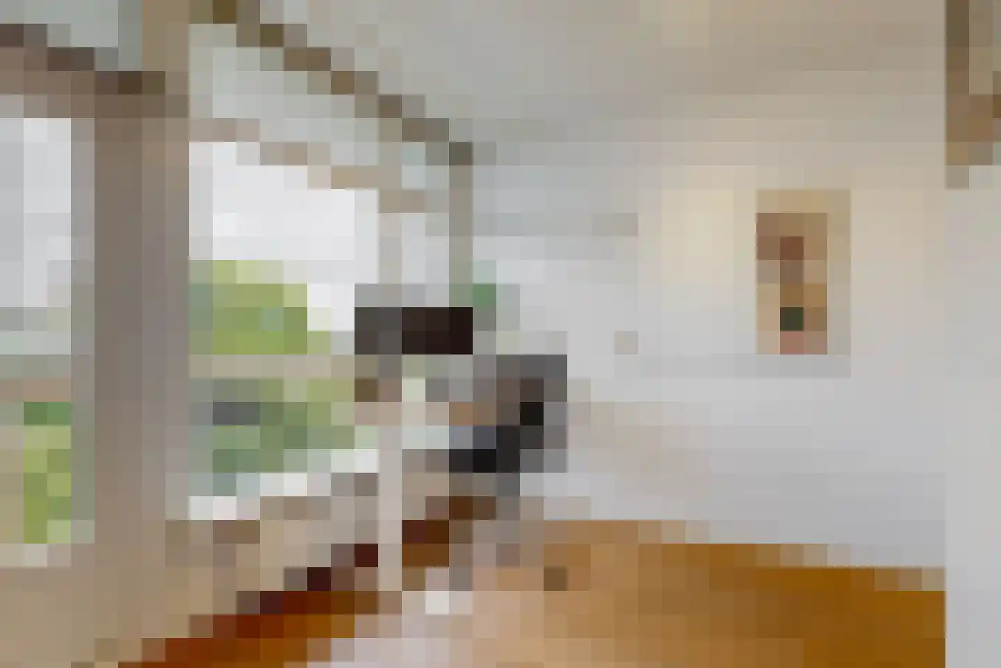 Duivelandselaan 121 Amstelveen thumbnail 16