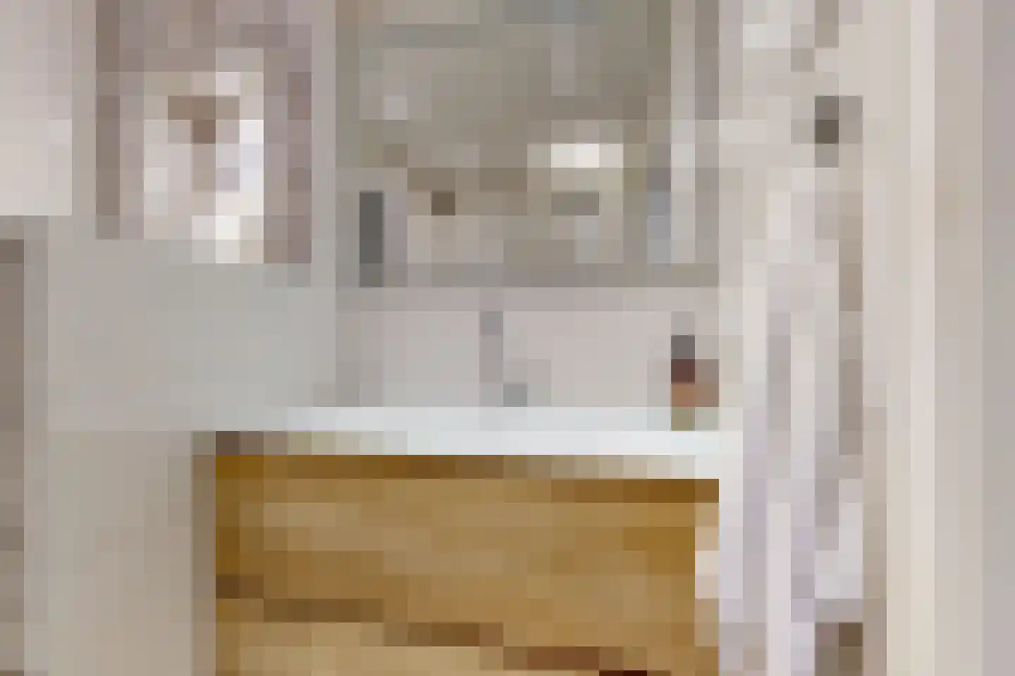 Duivelandselaan 121 Amstelveen thumbnail 20