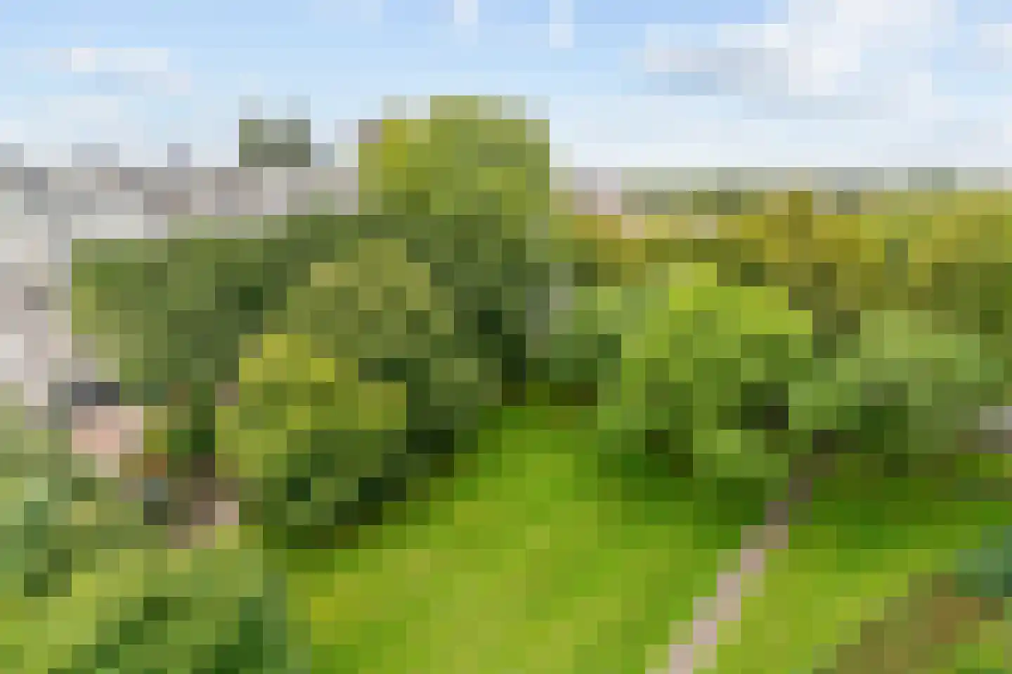 Duivelandselaan 121 Amstelveen thumbnail 28