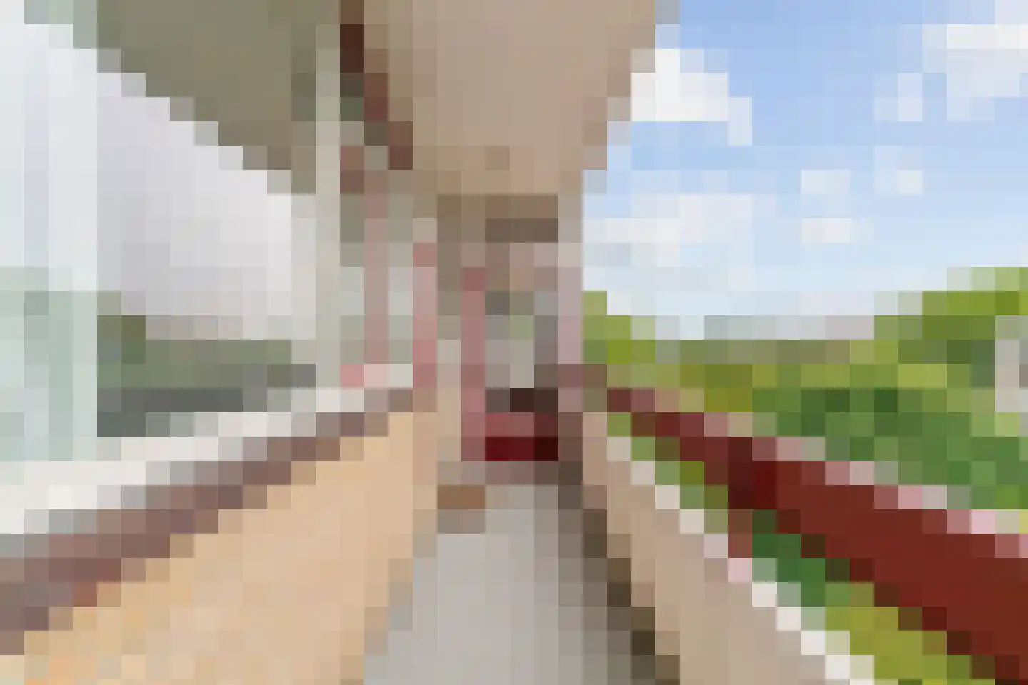Duivelandselaan 121 Amstelveen thumbnail 30