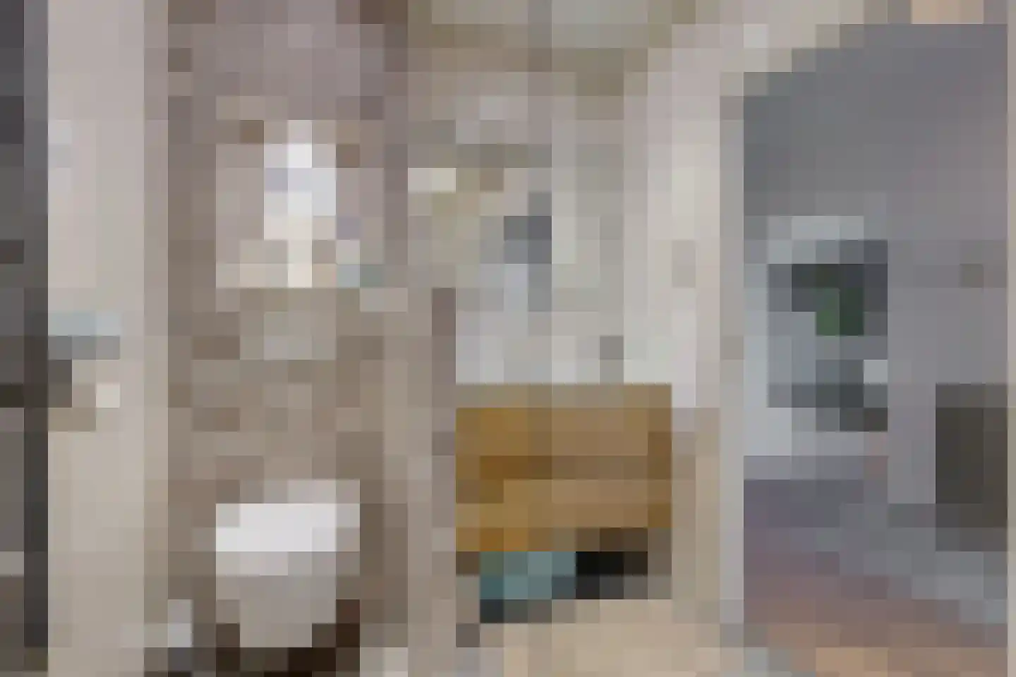 Duivelandselaan 121 Amstelveen thumbnail 4