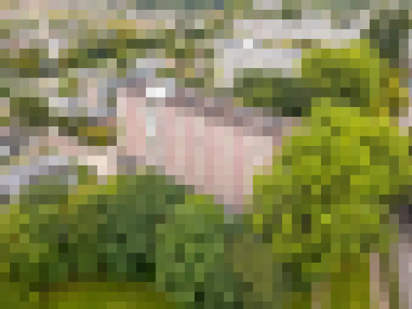 Duivelandselaan 121 Amstelveen thumbnail 7