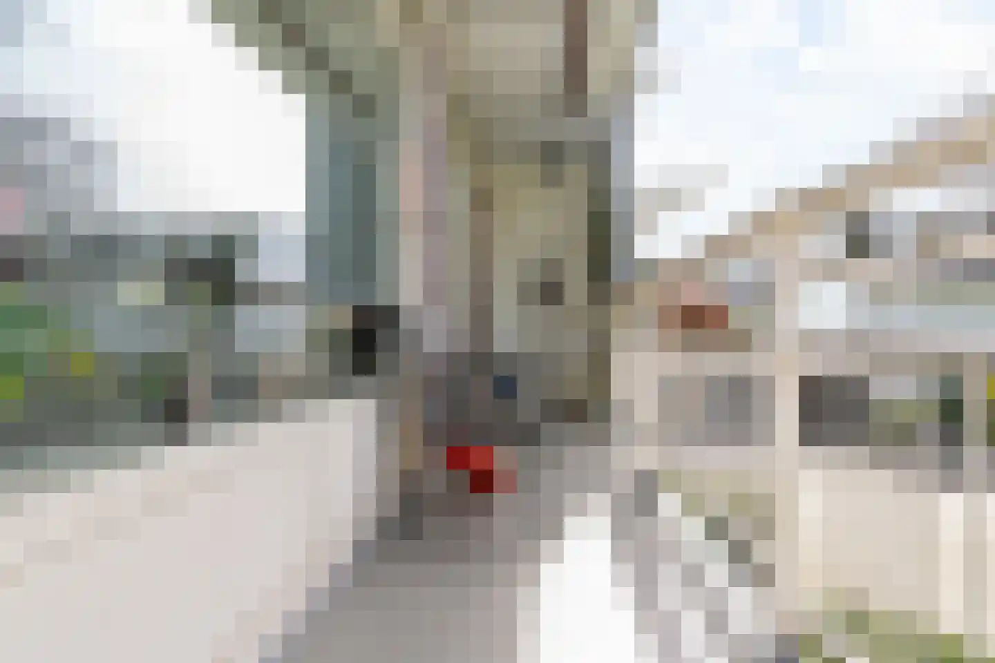 Duivelandselaan 21 Amstelveen thumbnail 20