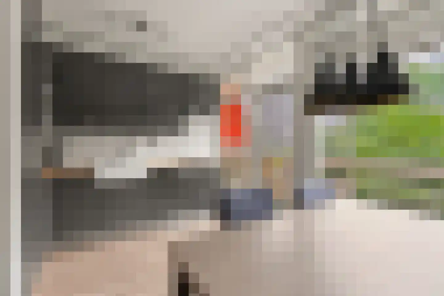 Duivelandselaan 23 Amstelveen thumbnail 13