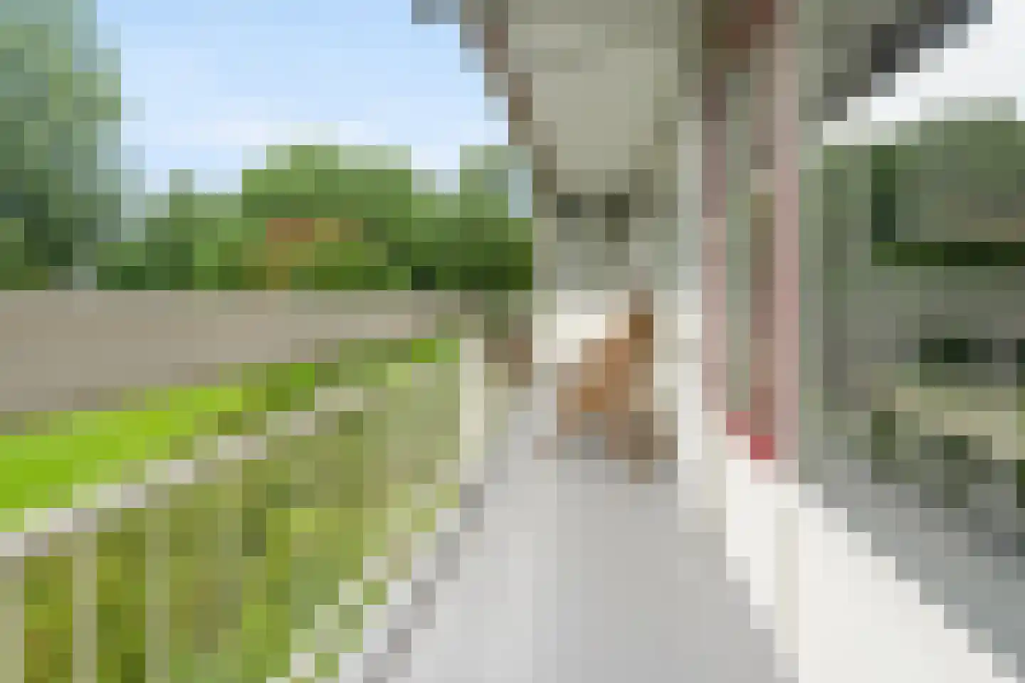 Duivelandselaan 23 Amstelveen thumbnail 9
