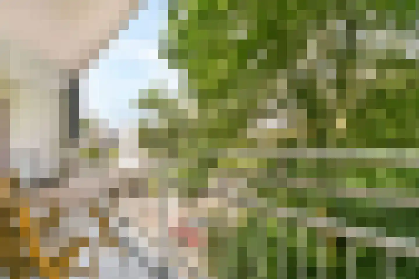 Duivelandselaan 35 Amstelveen thumbnail 7