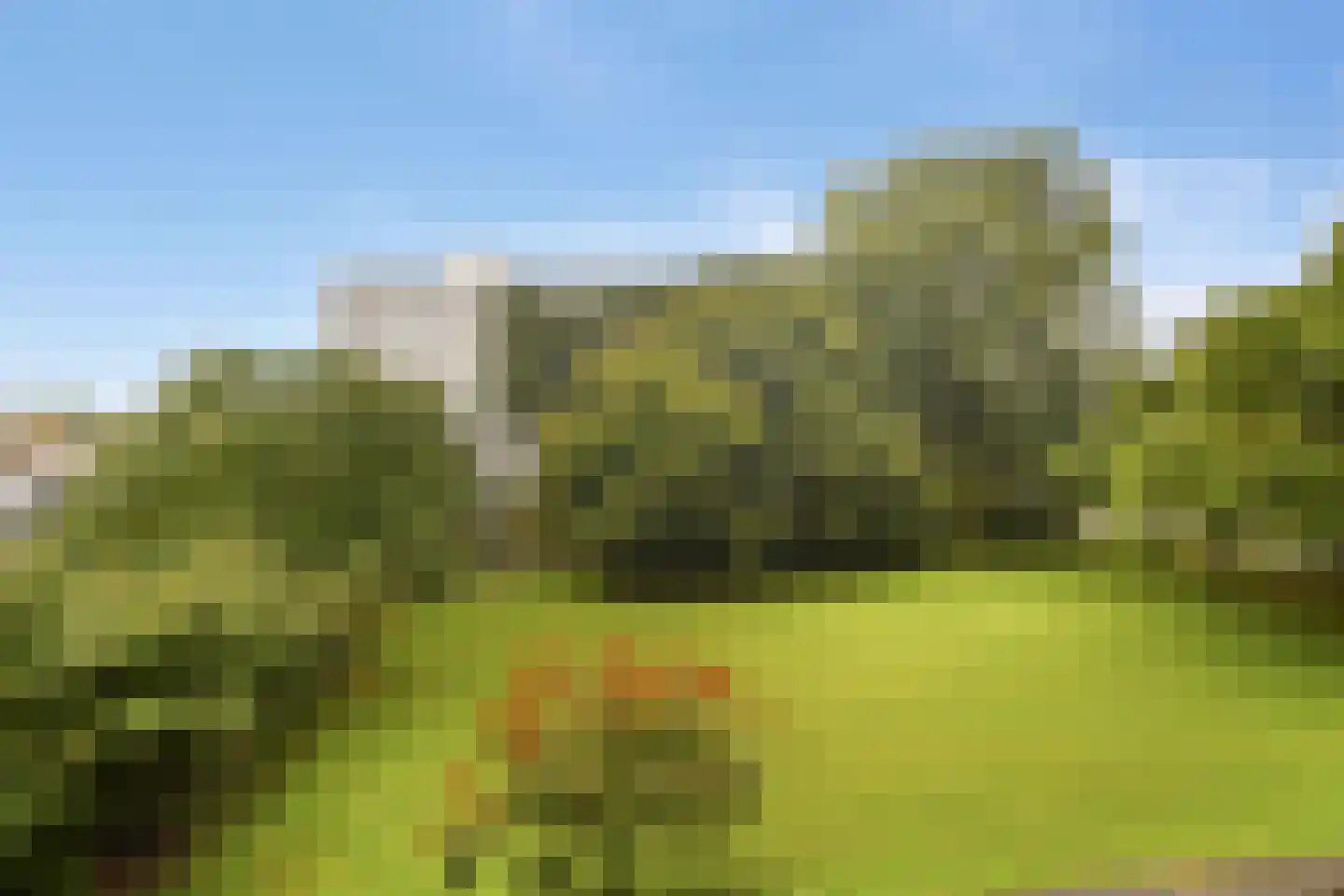 Duivelandselaan 39 Amstelveen thumbnail 11