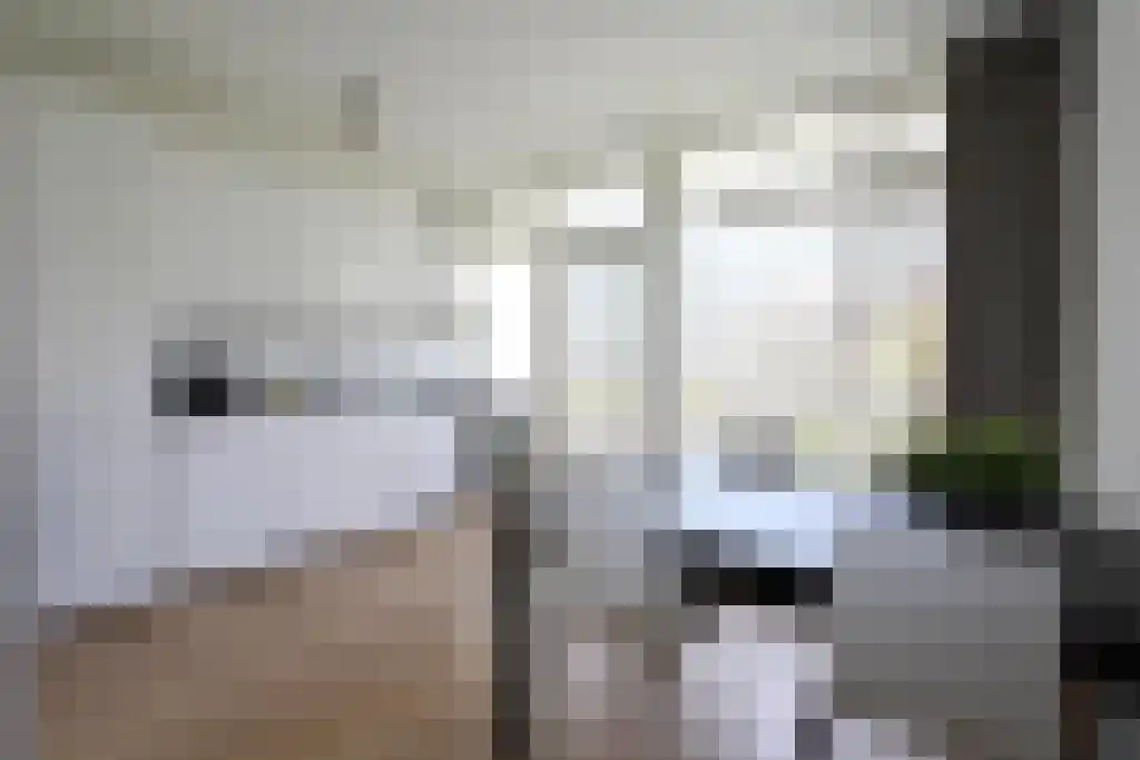 Duivelandselaan 73 Amstelveen thumbnail 5