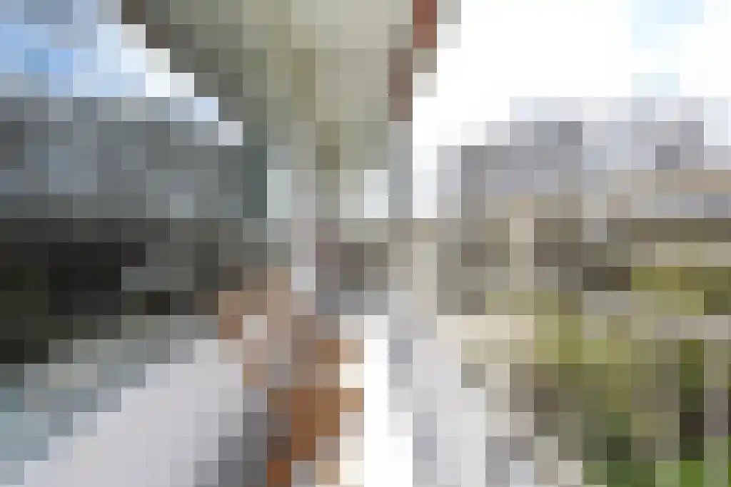 Duivelandselaan 73 Amstelveen thumbnail 6