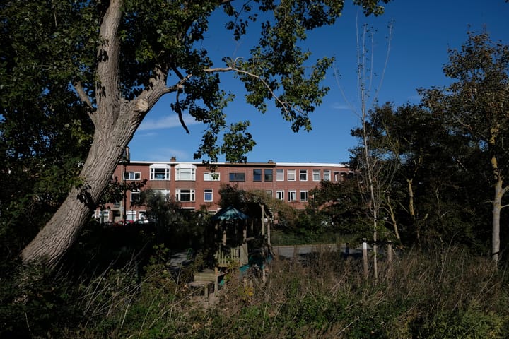 Duivelandsestraat 93 in 's-Gravenhage photo