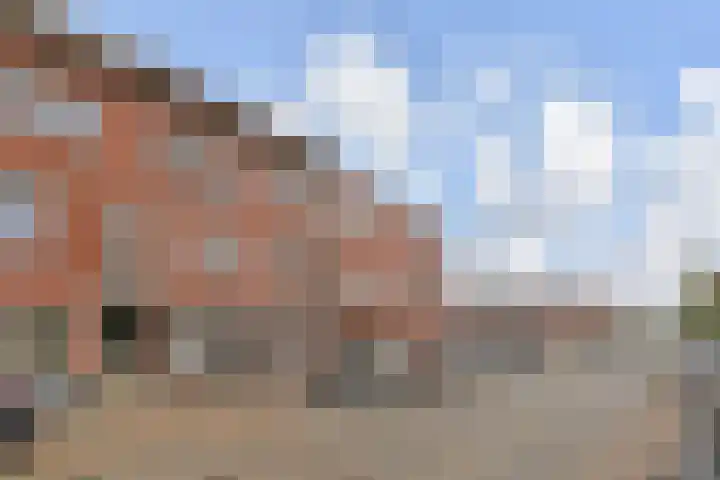Duivelandsestraat 93 Den Haag thumbnail 6