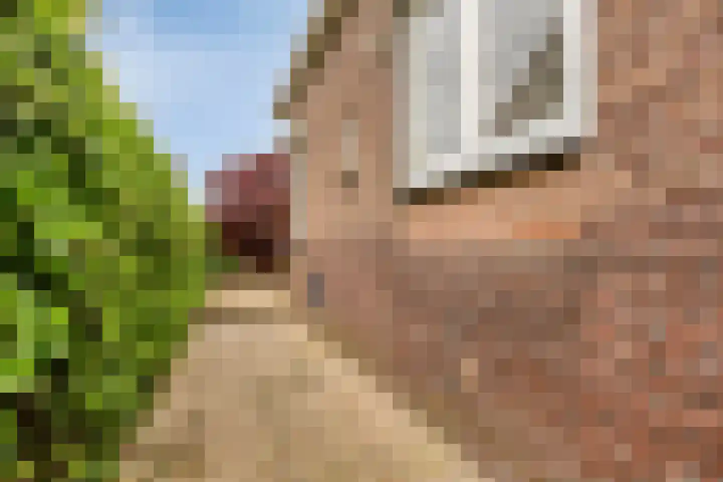 Duivelandstraat 10 Rhoon thumbnail 23